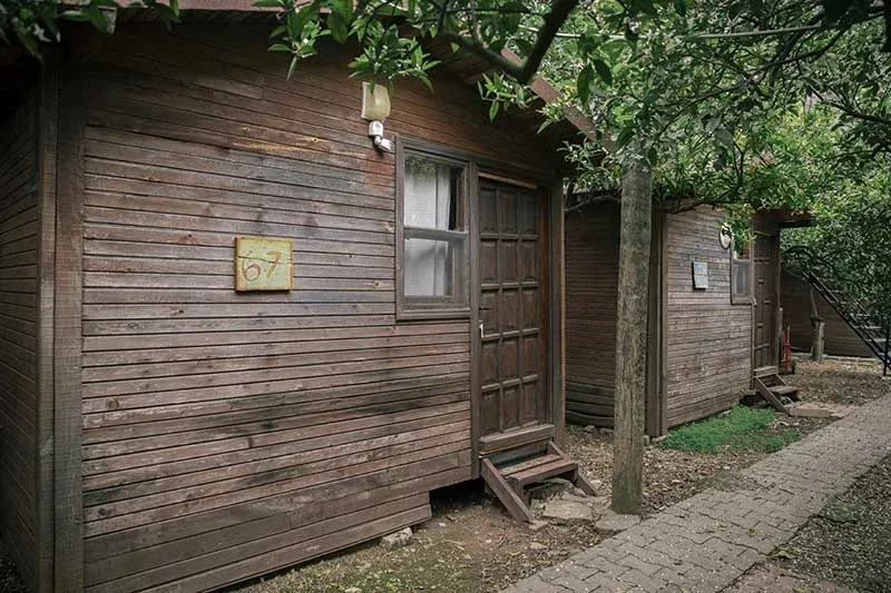 Bayrams Tree Houses
