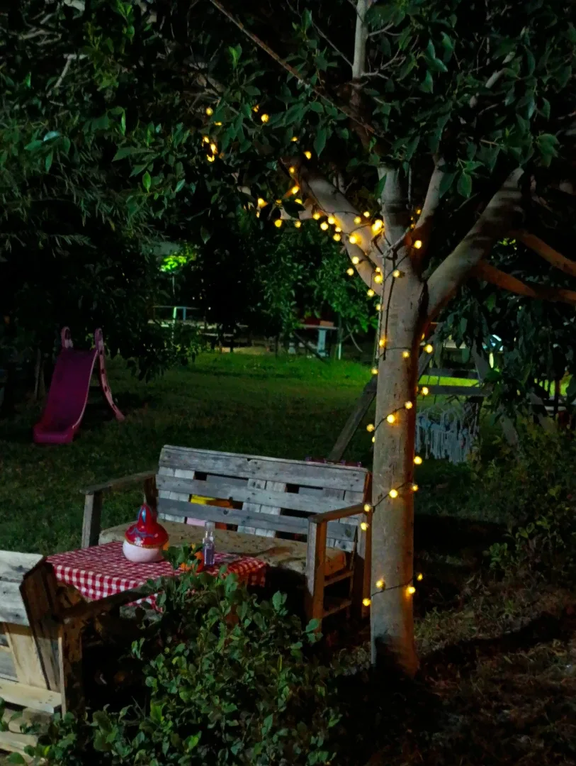 Ay Işığım Camping görsel 4